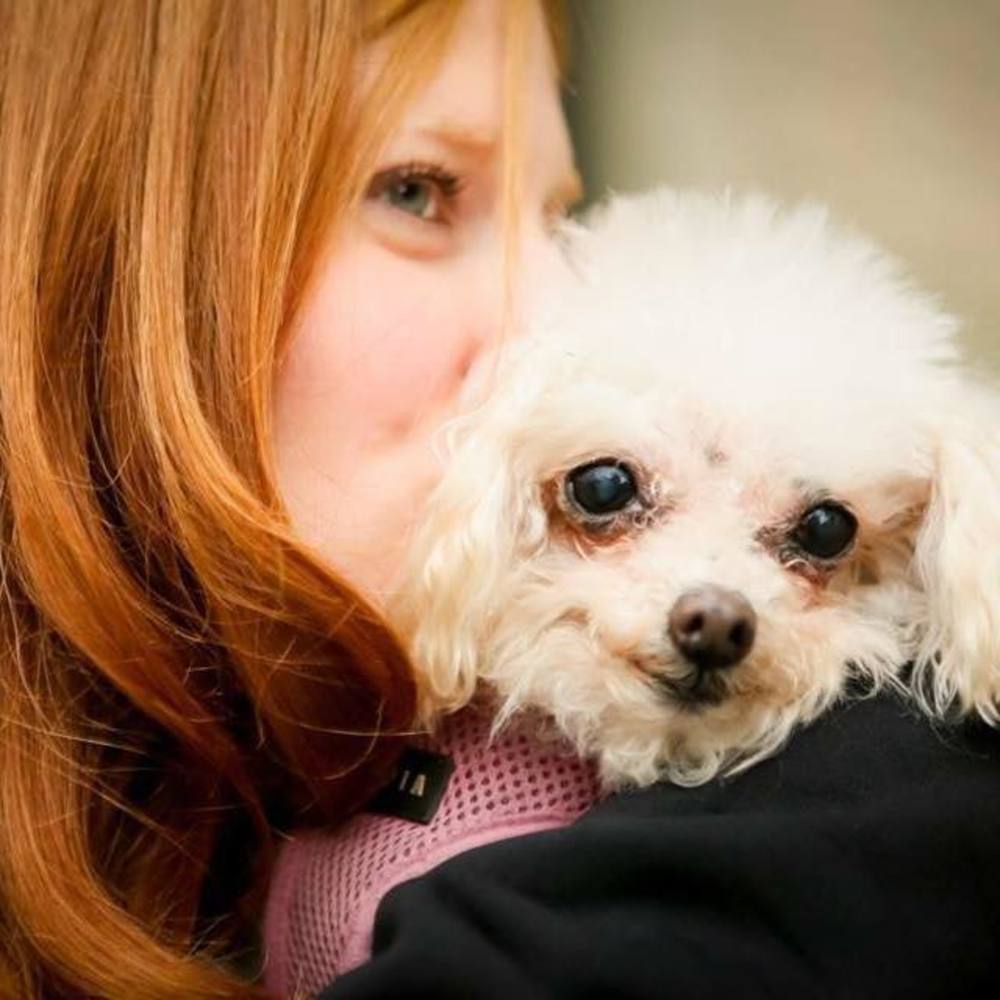 Meet your Posher, Erin